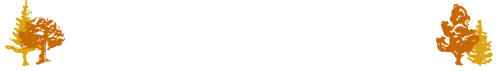 Gallery of  the Woods